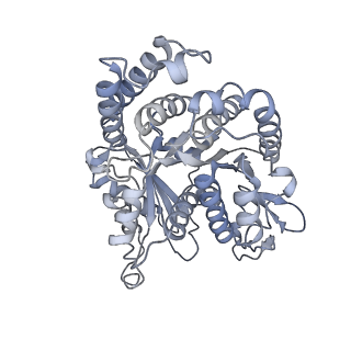 40220_8glv_Dt_v1-2
96-nm repeat unit of doublet microtubules from Chlamydomonas reinhardtii flagella