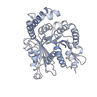 40220_8glv_Du_v1-2
96-nm repeat unit of doublet microtubules from Chlamydomonas reinhardtii flagella