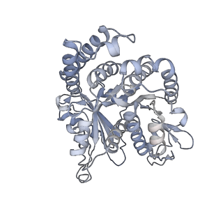 40220_8glv_Dv_v1-2
96-nm repeat unit of doublet microtubules from Chlamydomonas reinhardtii flagella