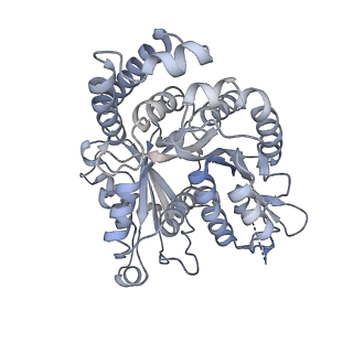 40220_8glv_Dw_v1-2
96-nm repeat unit of doublet microtubules from Chlamydomonas reinhardtii flagella
