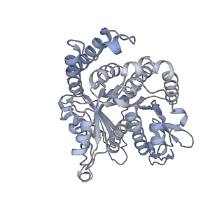 40220_8glv_Dx_v1-2
96-nm repeat unit of doublet microtubules from Chlamydomonas reinhardtii flagella