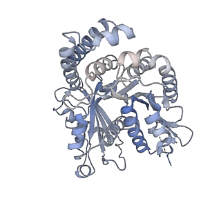 40220_8glv_Dy_v1-2
96-nm repeat unit of doublet microtubules from Chlamydomonas reinhardtii flagella