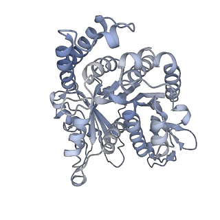 40220_8glv_Dz_v1-2
96-nm repeat unit of doublet microtubules from Chlamydomonas reinhardtii flagella