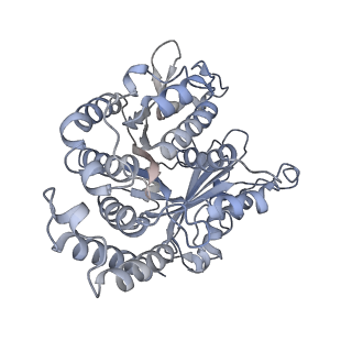 40220_8glv_E0_v1-2
96-nm repeat unit of doublet microtubules from Chlamydomonas reinhardtii flagella