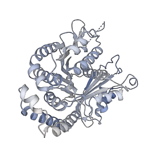 40220_8glv_E1_v1-2
96-nm repeat unit of doublet microtubules from Chlamydomonas reinhardtii flagella