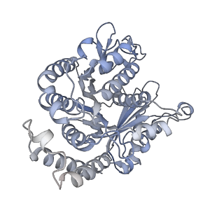 40220_8glv_E2_v1-2
96-nm repeat unit of doublet microtubules from Chlamydomonas reinhardtii flagella