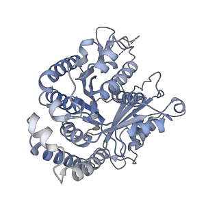 40220_8glv_E3_v1-2
96-nm repeat unit of doublet microtubules from Chlamydomonas reinhardtii flagella