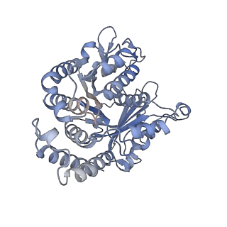 40220_8glv_E4_v1-2
96-nm repeat unit of doublet microtubules from Chlamydomonas reinhardtii flagella