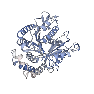 40220_8glv_E5_v1-2
96-nm repeat unit of doublet microtubules from Chlamydomonas reinhardtii flagella