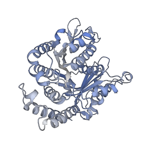 40220_8glv_E6_v1-2
96-nm repeat unit of doublet microtubules from Chlamydomonas reinhardtii flagella