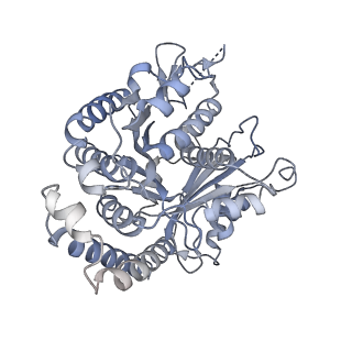 40220_8glv_E7_v1-2
96-nm repeat unit of doublet microtubules from Chlamydomonas reinhardtii flagella