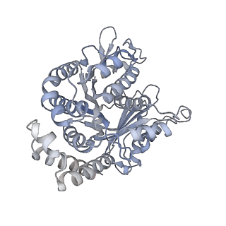 40220_8glv_E8_v1-2
96-nm repeat unit of doublet microtubules from Chlamydomonas reinhardtii flagella