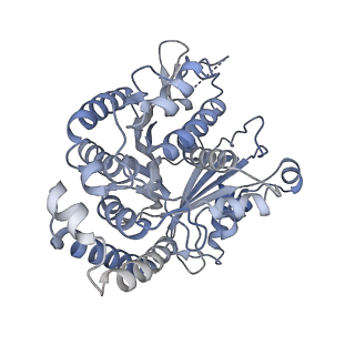 40220_8glv_E9_v1-2
96-nm repeat unit of doublet microtubules from Chlamydomonas reinhardtii flagella