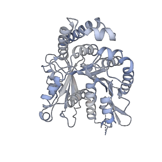 40220_8glv_EC_v1-2
96-nm repeat unit of doublet microtubules from Chlamydomonas reinhardtii flagella
