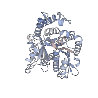 40220_8glv_ED_v1-2
96-nm repeat unit of doublet microtubules from Chlamydomonas reinhardtii flagella