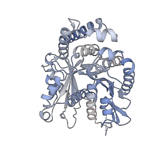 40220_8glv_EE_v1-2
96-nm repeat unit of doublet microtubules from Chlamydomonas reinhardtii flagella