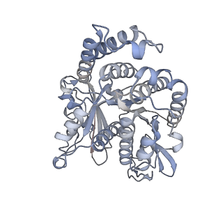 40220_8glv_EF_v1-2
96-nm repeat unit of doublet microtubules from Chlamydomonas reinhardtii flagella