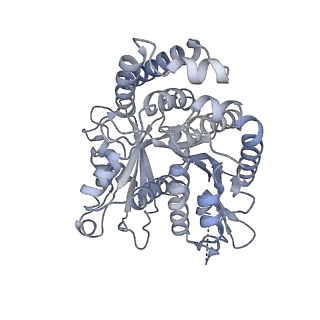 40220_8glv_EG_v1-2
96-nm repeat unit of doublet microtubules from Chlamydomonas reinhardtii flagella