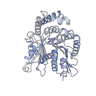 40220_8glv_EI_v1-2
96-nm repeat unit of doublet microtubules from Chlamydomonas reinhardtii flagella