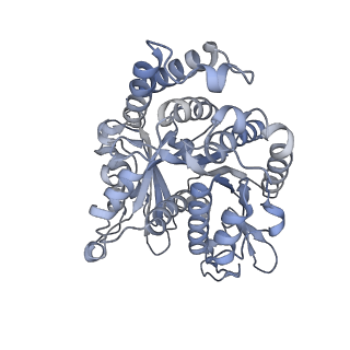 40220_8glv_EJ_v1-2
96-nm repeat unit of doublet microtubules from Chlamydomonas reinhardtii flagella