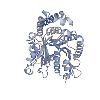 40220_8glv_EK_v1-2
96-nm repeat unit of doublet microtubules from Chlamydomonas reinhardtii flagella