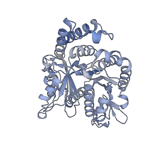 40220_8glv_EL_v1-2
96-nm repeat unit of doublet microtubules from Chlamydomonas reinhardtii flagella
