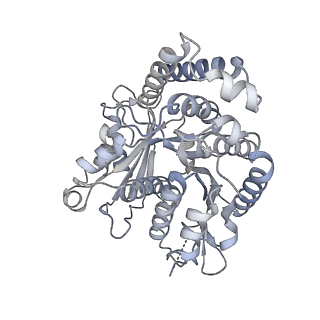 40220_8glv_EP_v1-2
96-nm repeat unit of doublet microtubules from Chlamydomonas reinhardtii flagella