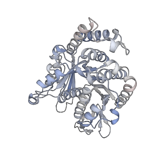40220_8glv_EQ_v1-2
96-nm repeat unit of doublet microtubules from Chlamydomonas reinhardtii flagella