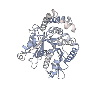 40220_8glv_ER_v1-2
96-nm repeat unit of doublet microtubules from Chlamydomonas reinhardtii flagella