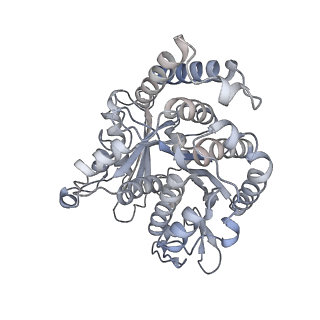 40220_8glv_ES_v1-2
96-nm repeat unit of doublet microtubules from Chlamydomonas reinhardtii flagella