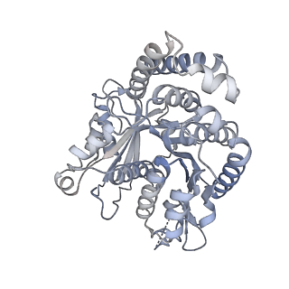 40220_8glv_ET_v1-2
96-nm repeat unit of doublet microtubules from Chlamydomonas reinhardtii flagella