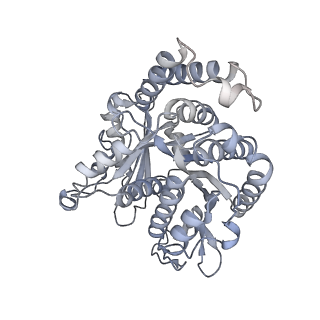 40220_8glv_EU_v1-2
96-nm repeat unit of doublet microtubules from Chlamydomonas reinhardtii flagella