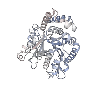 40220_8glv_EV_v1-2
96-nm repeat unit of doublet microtubules from Chlamydomonas reinhardtii flagella