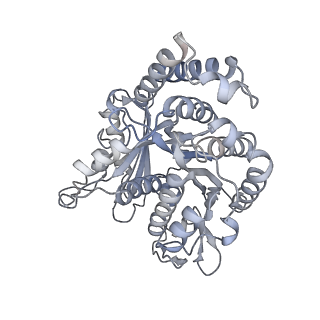 40220_8glv_EW_v1-2
96-nm repeat unit of doublet microtubules from Chlamydomonas reinhardtii flagella