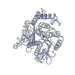 40220_8glv_EY_v1-2
96-nm repeat unit of doublet microtubules from Chlamydomonas reinhardtii flagella