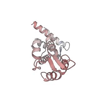 40220_8glv_EZ_v1-2
96-nm repeat unit of doublet microtubules from Chlamydomonas reinhardtii flagella