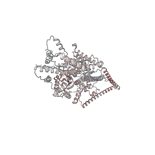 40220_8glv_Ea_v1-2
96-nm repeat unit of doublet microtubules from Chlamydomonas reinhardtii flagella