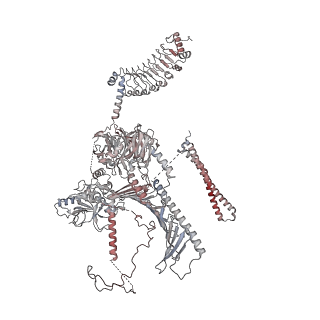 40220_8glv_Eb_v1-2
96-nm repeat unit of doublet microtubules from Chlamydomonas reinhardtii flagella