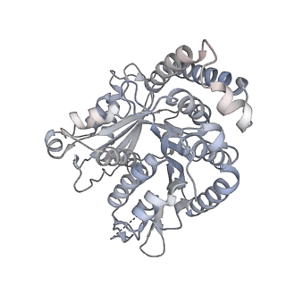 40220_8glv_Ec_v1-2
96-nm repeat unit of doublet microtubules from Chlamydomonas reinhardtii flagella