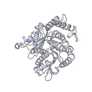 40220_8glv_Ed_v1-2
96-nm repeat unit of doublet microtubules from Chlamydomonas reinhardtii flagella