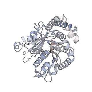 40220_8glv_Ee_v1-2
96-nm repeat unit of doublet microtubules from Chlamydomonas reinhardtii flagella