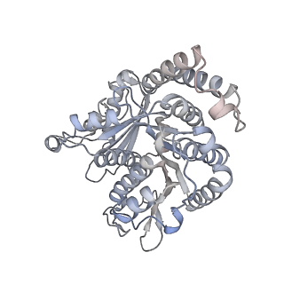 40220_8glv_Ef_v1-2
96-nm repeat unit of doublet microtubules from Chlamydomonas reinhardtii flagella
