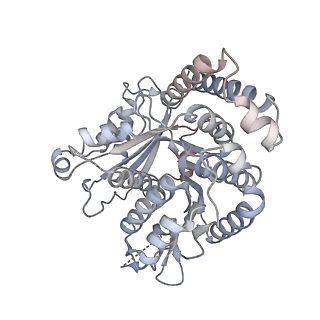 40220_8glv_Eg_v1-2
96-nm repeat unit of doublet microtubules from Chlamydomonas reinhardtii flagella