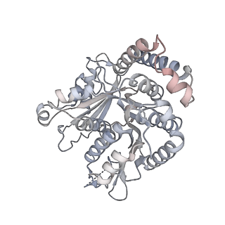 40220_8glv_Ei_v1-2
96-nm repeat unit of doublet microtubules from Chlamydomonas reinhardtii flagella