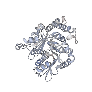 40220_8glv_Ej_v1-2
96-nm repeat unit of doublet microtubules from Chlamydomonas reinhardtii flagella