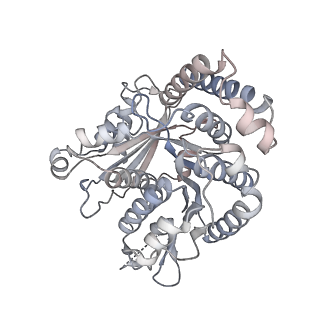 40220_8glv_Ek_v1-2
96-nm repeat unit of doublet microtubules from Chlamydomonas reinhardtii flagella