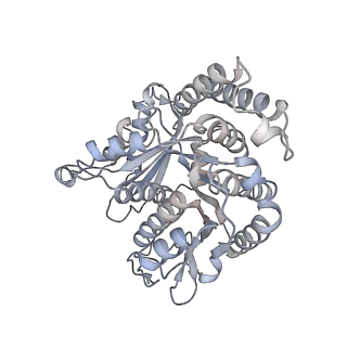 40220_8glv_El_v1-2
96-nm repeat unit of doublet microtubules from Chlamydomonas reinhardtii flagella