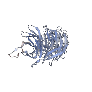40220_8glv_Eo_v1-2
96-nm repeat unit of doublet microtubules from Chlamydomonas reinhardtii flagella