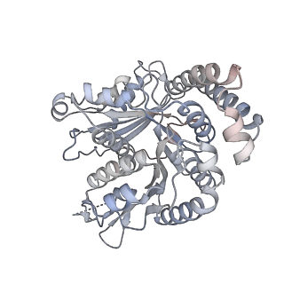 40220_8glv_Ep_v1-2
96-nm repeat unit of doublet microtubules from Chlamydomonas reinhardtii flagella