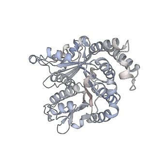 40220_8glv_Eq_v1-2
96-nm repeat unit of doublet microtubules from Chlamydomonas reinhardtii flagella